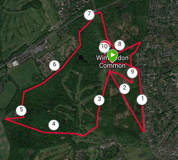 manymilesrun's tweet photo. Really enjoyed todays run around #wimbeldoncommon. Perfect running weather! #ukrunchat #thisgirlcan #runr https://t.co/xcZB38yhBT