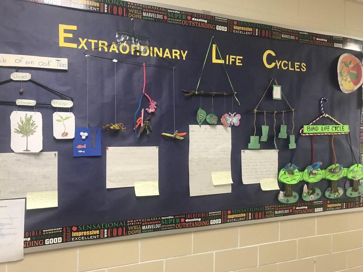 OakcliffEagle1's tweet photo. While checking in on everyone, I just HAD to capture evidence of these great bulletin boards with student work and teacher commentary!! Way to go Oakcliff! #modeltheexpectation #studentfeedback https://t.co/kPg98rxpYC