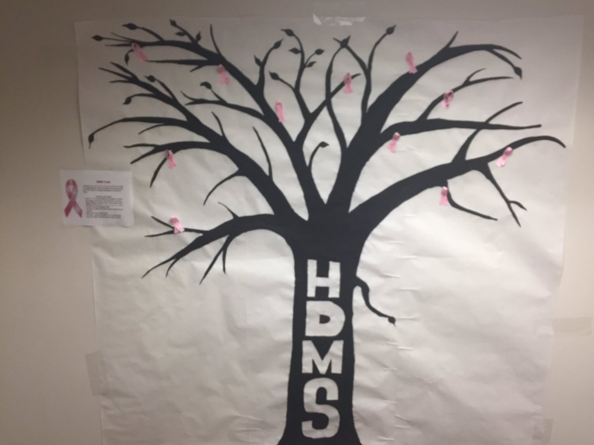 Alyssa Paauwe tweet media