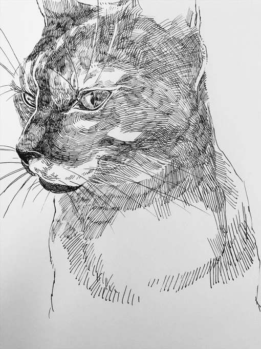 新しい紙の試し描き。 