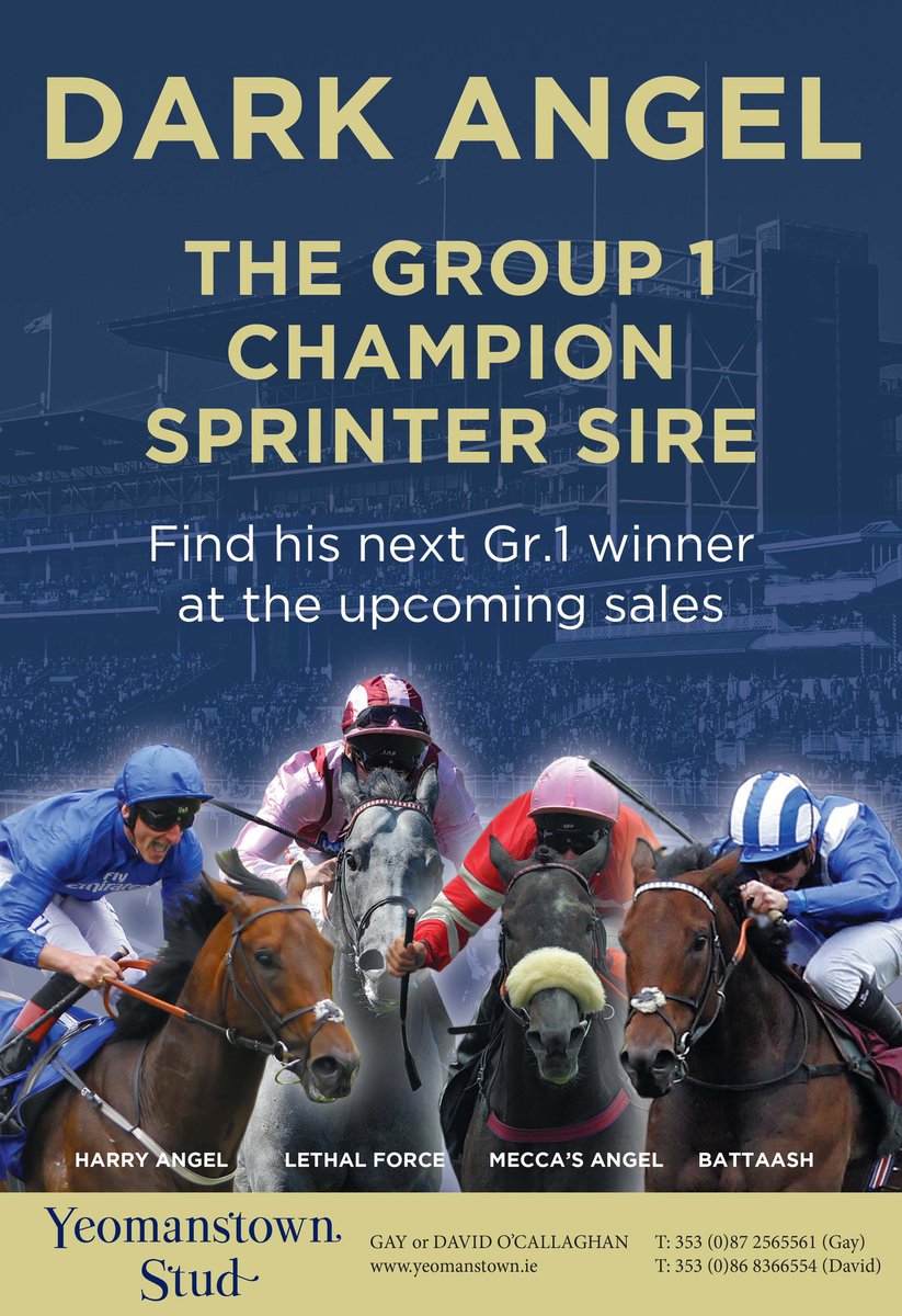 YeomanstownStud's tweet image. Fantastic result for @guy_oc @Tattersalls1766 Book 1, Lot 454, an eye-catching homebred daughter of #DarkAngel &amp;amp; own sister to smart Gr.2 winner BIRCHWOOD sells to @TomGoff8 for 480,000gns #BookOneYearlings #ThisFillyCan #GrangemoreStud #FutureStar 🌟