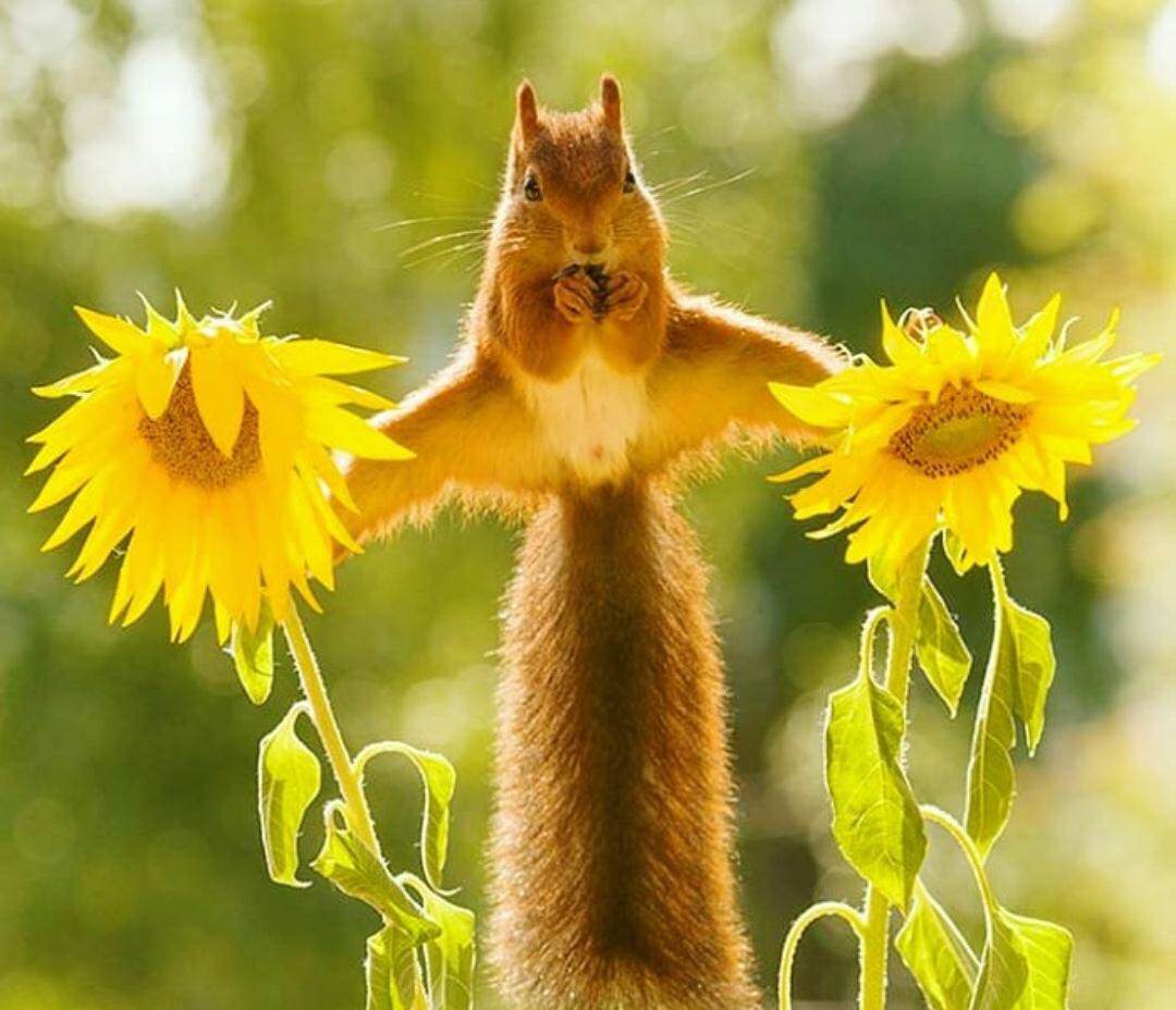 StTimothysPburg's tweet photo. A little smile on a gray day. https://t.co/BAJlHbdb7F