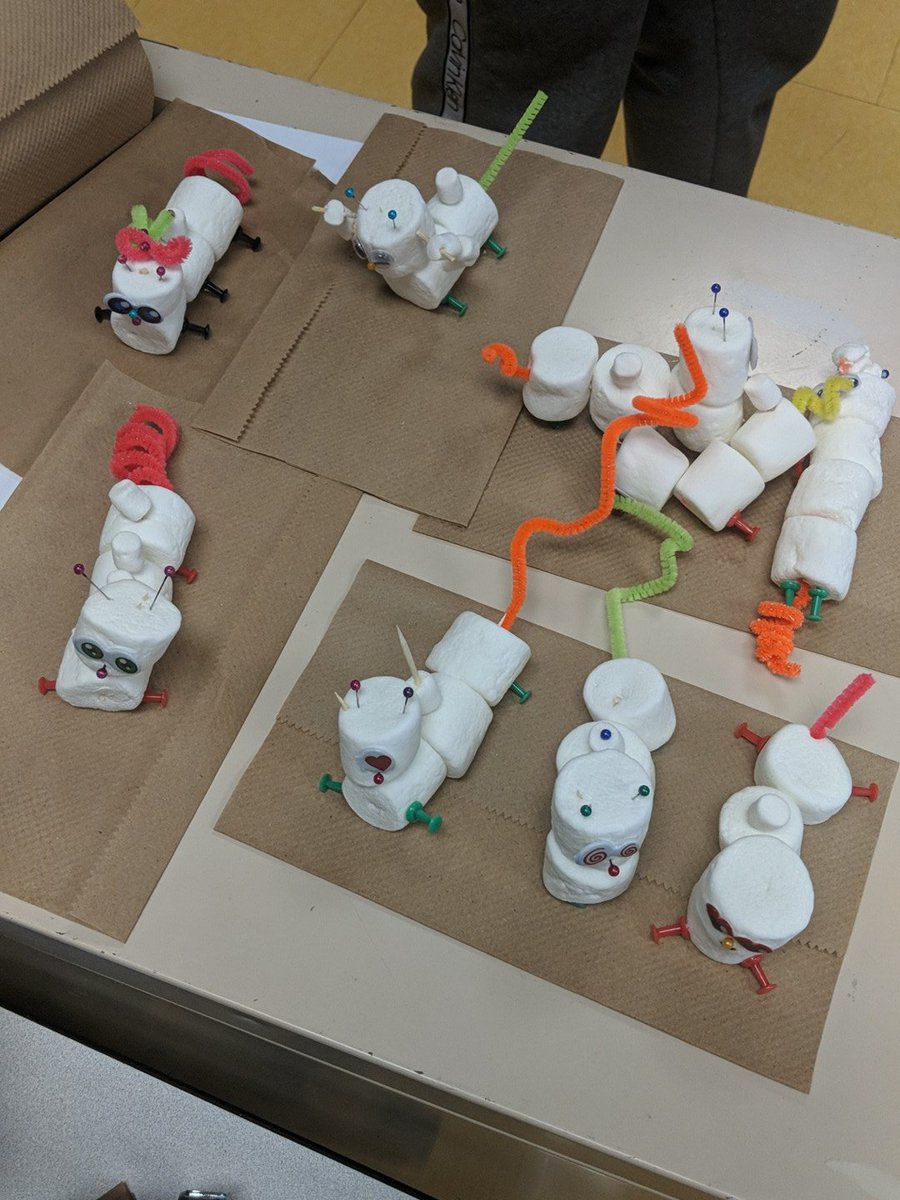 Our nursery of Reebop babies in #SBI3U! <a href="/RHSSScienceClub/">RHSS Science Club</a> @RickHansenPDSB