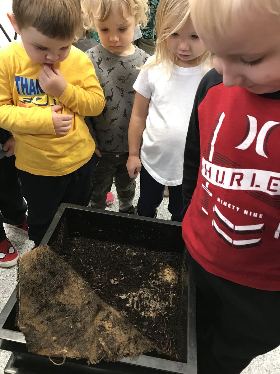 MrSeisersClass's tweet photo. Preschool students visited NEH FARMS this morning.  They saw recently hatched chicks, the worm farm, and our hydroponic lettuce garden. @IowaAgLiteracy  # nehtrojans https://t.co/cE8C2lO5s8