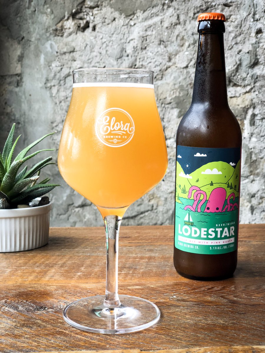 elorabrewingco's tweet photo. Summer ain't over yet! Our Lodestar Sour Ale with Pink Guava is pouring #ohsofresh from the taps. Get this sweet sweet nectar while you canπ» π #rundontwalk #lodestareveryday https://t.co/90dXGJto8j