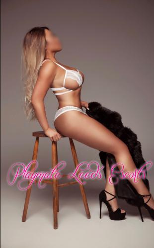 LeedsPlaymate's tweet photo. Book #Gabriella #Pocket #Rocket #sexy #Hot #Nubile #LeedsEscort from #EliteLeedsEscortAgency #Playmate @LeedsPlaymate (Playmate Leeds Escorts) for #dinnerdate #NightOut #Friendship #Leeds #OutcallLeedsEscorts. Know More at: https://t.co/6yNl1VOtJY. https://t.co/ayQNjSTt0q
