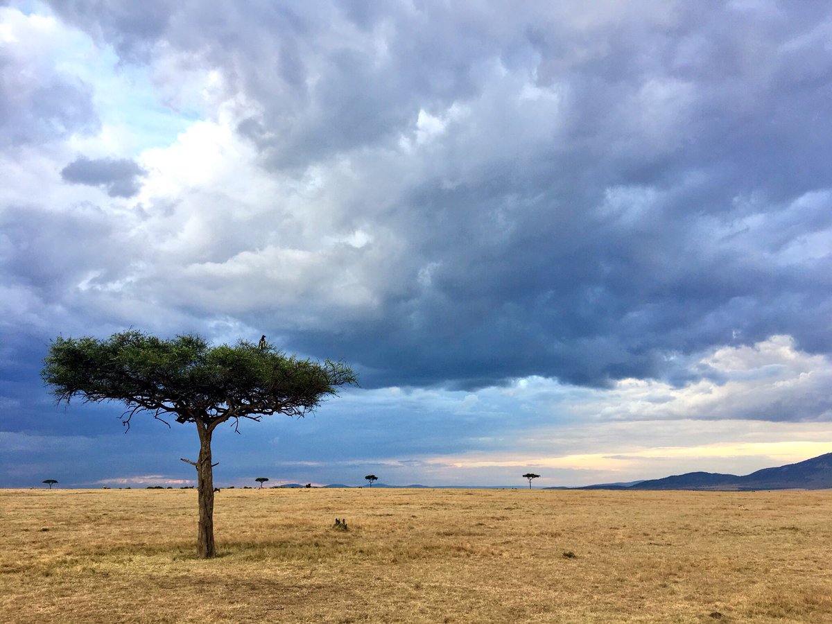 savannahosbourn's tweet photo. A few samples of Kenya’s breathtaking landscape ☀️ #kenya #africa #travel https://t.co/F52RUv0svk