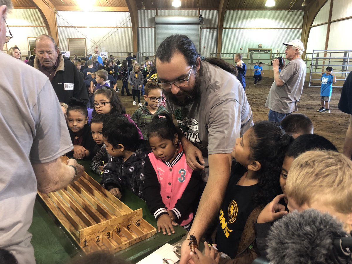 ib_ento's tweet photo. Weโre rock and rolling! Cockroach races are about to emence! #InsectFest https://t.co/o1Vxk3WP6k