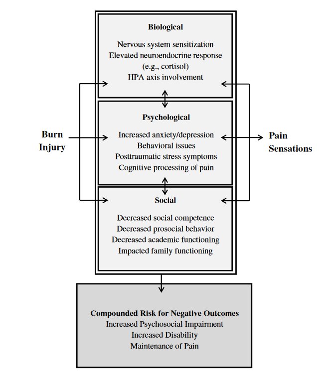 PhysioMeScience's tweet photo. The Biopsychosocial Model of Pain in the Context of Pediatric Burn Injuries

👇👇👇
https://t.co/hcaXQS8Sit https://t.co/kgPPRG8E6R