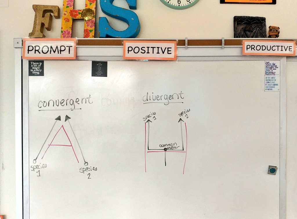 MsFrizz143's tweet image. Shoutout to Mr. Rice who noticed a hidden message in my diagrams of #evolutionarypatterns today! Convergent developes #analogous traits 🐦🐝 & Divergent developes #homologous traits 🐎🐋
#evolution #biology #STEAMed #HSbiology