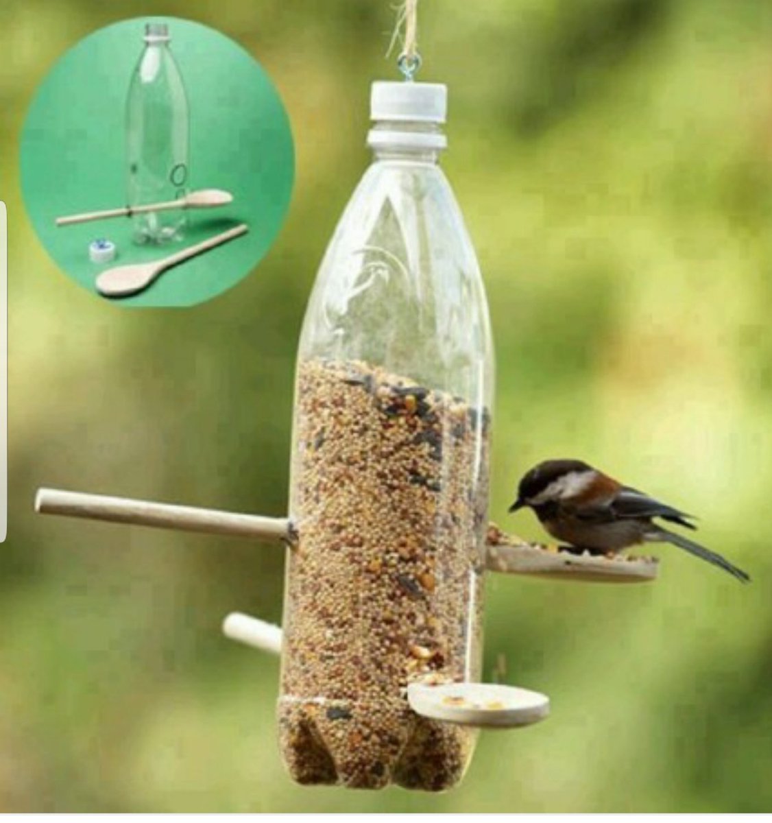 #BirdsConservation
#MigratoryBirds
You can consider doing this for them while welcoming them to your territory. The season is here. <a href="/ojay_78/">Joseph Onoja</a> <a href="/NatureSolomon/">Nature Solomon🌐</a> <a href="/msimire/">Michael Simire</a> <a href="/desmajek/">Desmond Majekodunmi</a>