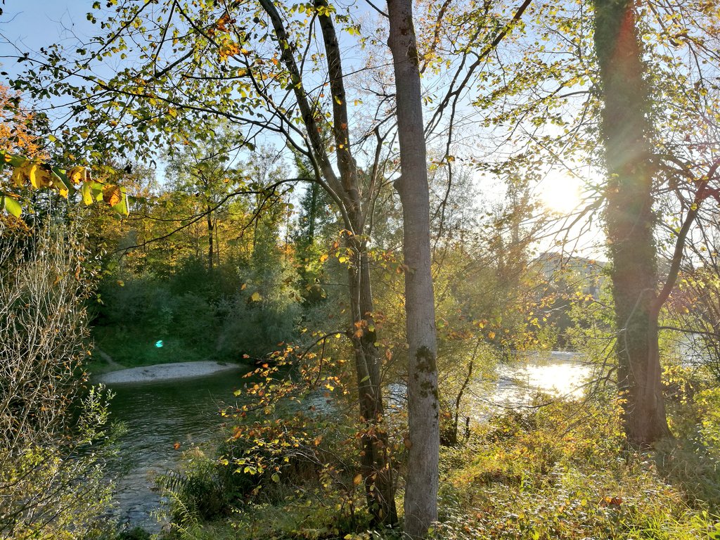 CarolynFriesl's tweet photo. Beim #bikefromwork einfach mal bei einem Bankerl Pause machen.♥
Warum genau fahren Menschen nochmal mit dem Auto zur Arbeit? 🤔 https://t.co/EKk1xesotR