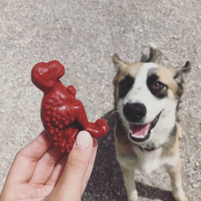 dreambone dino chews