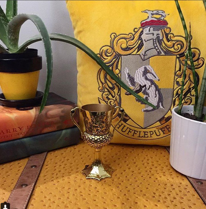anzzibrand's tweet photo. What a fun fan post! The folks at @TheWubeLife are making a @HarryPotterFilm themed tiny home and used an ANZZI sink to be a pensieve.  Share your projects with us to be featured! 
#HarryPotter #TinyHome #Pensieve #AnzziBrand #ANZZI 

https://t.co/zyZeGiV8ZB https://t.co/60bE3hDSyL