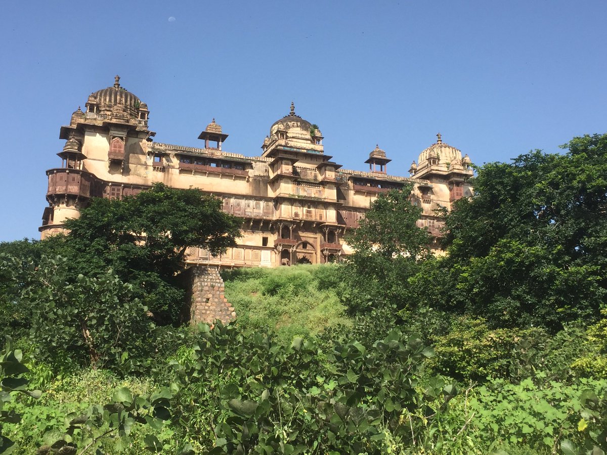 Animesh Saxena tweet media