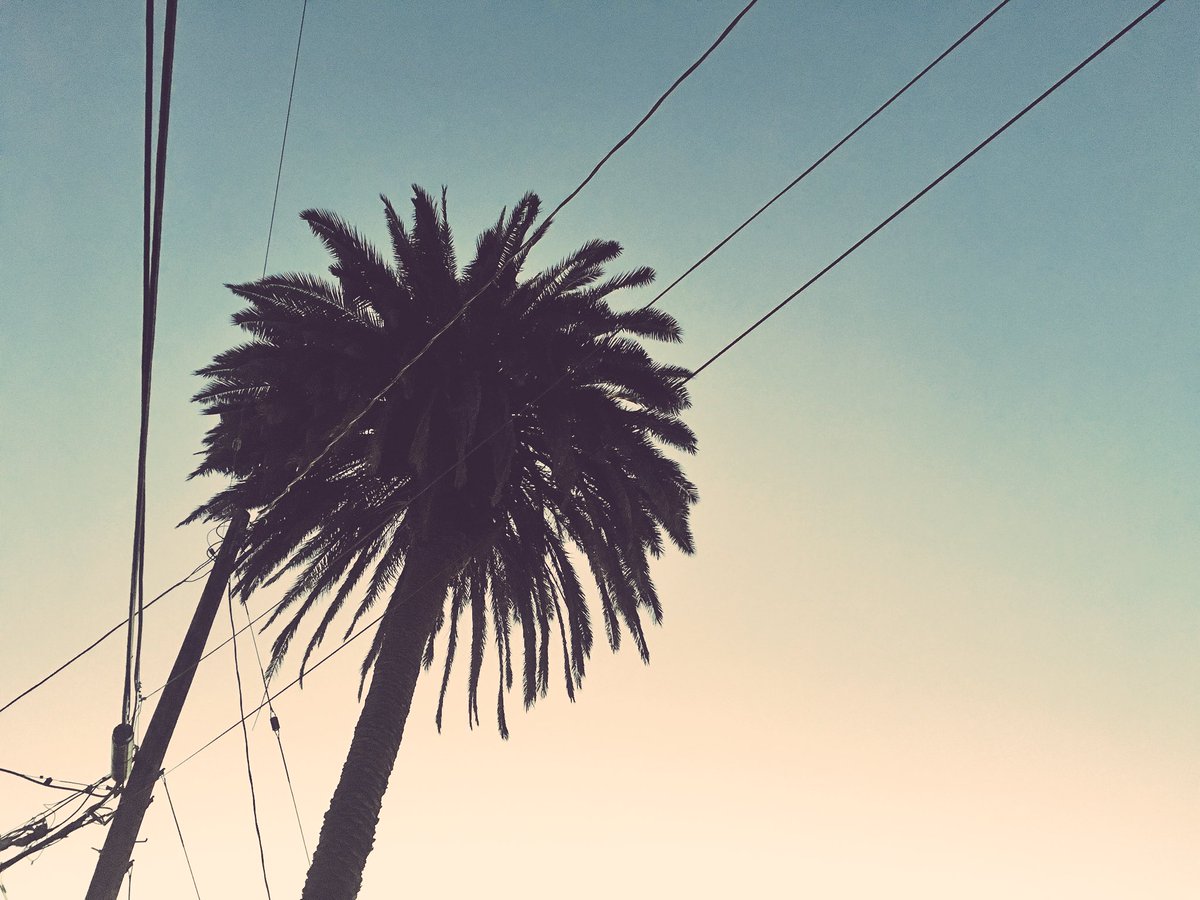 Grantalopé tweet media