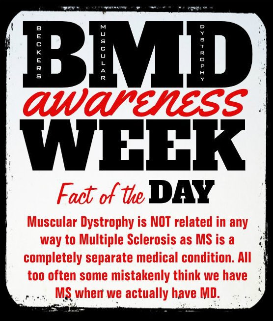 LAPS4MD's tweet photo. When it comes to living with #MuscularDystrophy many mistakenly think we have Multiple Sclerosis. But it must be known that MS is a completely different medical condition. Please "❤️" &amp; "Share" this fact today! #BMDawarenessWeek https://t.co/UQNL5DMWG0