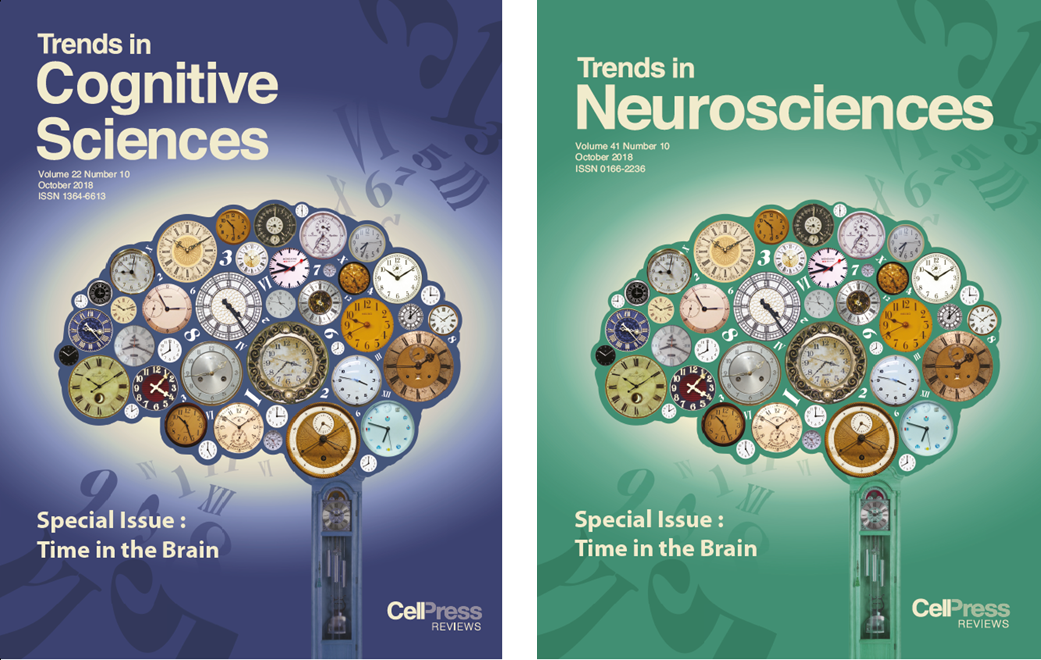 CellPressNews's tweet image. New in @TrendsNeuro Inhibitory #Interneurons Regulate Temporal Precision &amp;amp; Correlations in Cortical Circuits by Cardin @Yale bit.ly/2OnGoYD