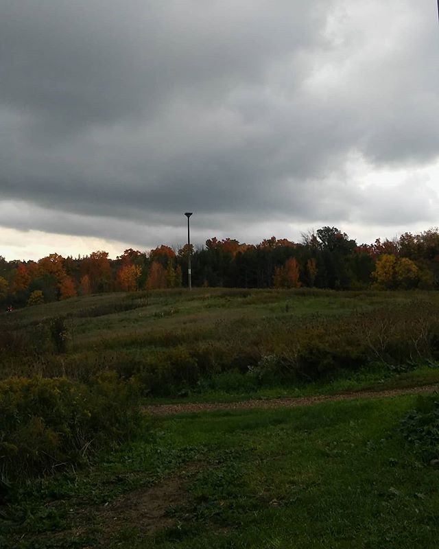 Lisa Murphy tweet media