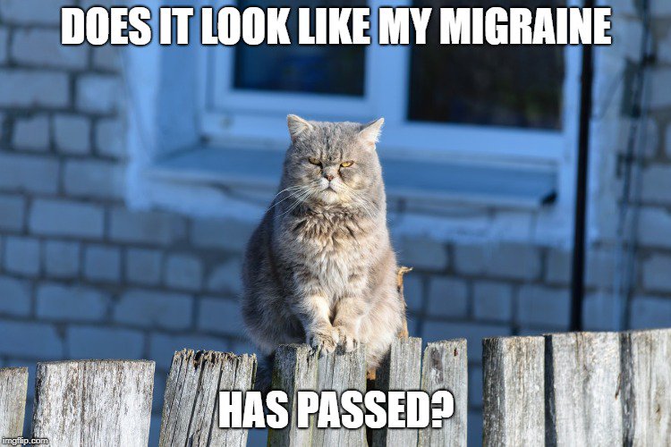 NatMigraineCtr's tweet photo. Thursday #migraine? Bring on the weekend!
#NMC4U #HelpForMigraines #HeadacheHope https://t.co/jcFOBzXtjs
