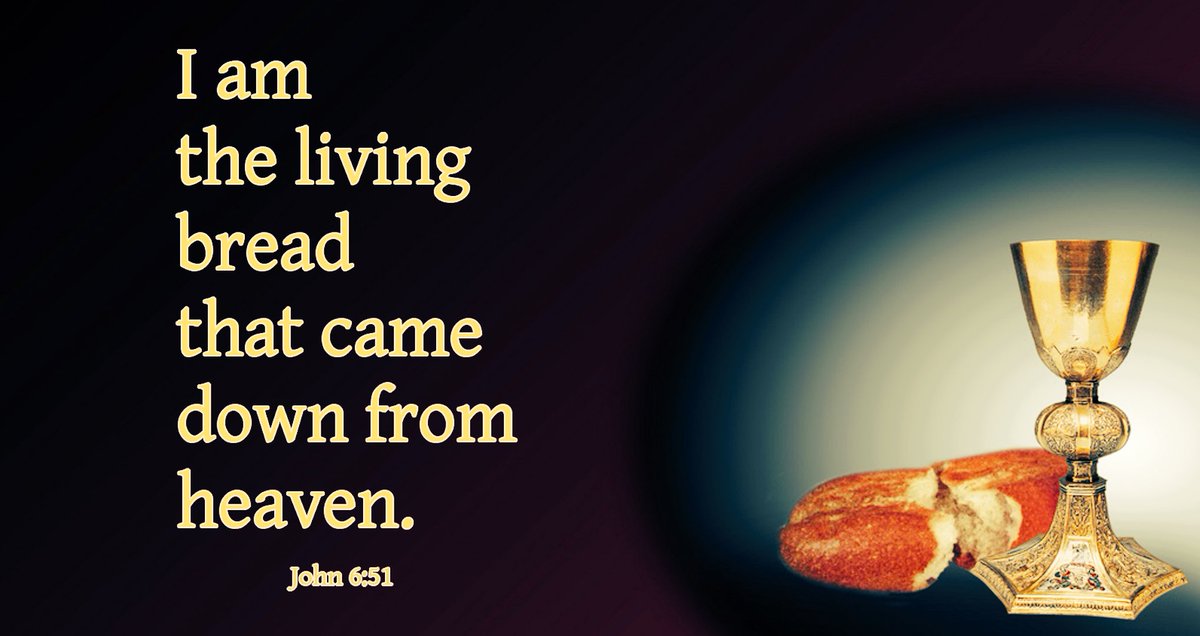 HolyAdoration's tweet photo. I am the living bread that came down from Heaven✝️
John 6:51
Healing is > relaxation
#HolyHour #TheEucharist #ThursdayThoughts #Healing #BibleQuotes #JESUSITrustInYou #HeIsPresent #CatholicFaith #JesusSaves #JesusLovesYou https://t.co/GTLUlAehB9