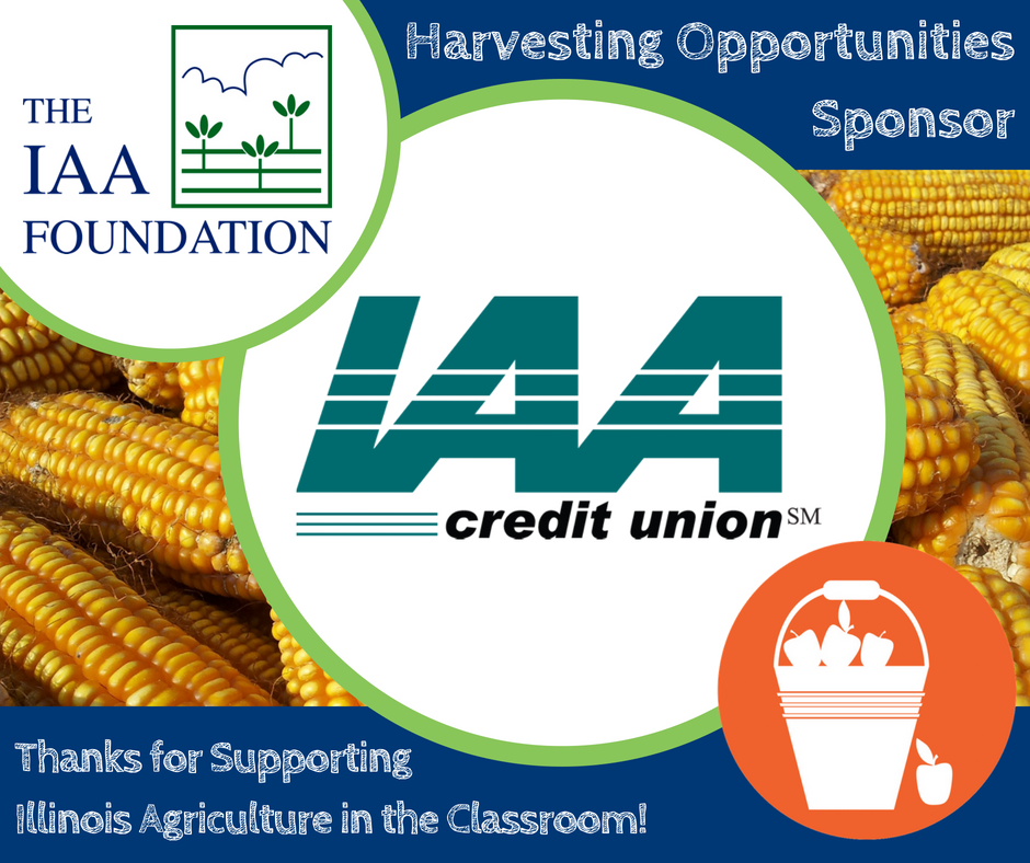 IAAFoundation's tweet photo. Hopefully the recent weather hasn't put too much of a damper on #Harvest18. We want to take a moment for another #HarvestHighlight. This weeks Harvesting Opportunities Sponsor is @IAACU . Thanks for supporting @Ilagclass! https://t.co/ybYUjDfl9j