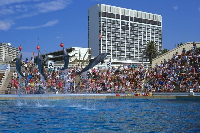 JulietMummy's tweet photo. #SightSeeSA
#ENG2604
#PortElizabeth 

Have absolute fun with your family at the Bayworld Oceanarium and Museum for Dolphin shows and fun packed activities.. you will love it! https://t.co/0oSqySA7UG