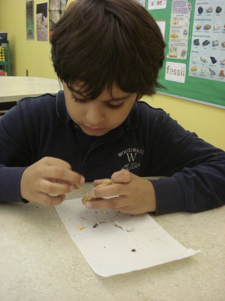 David Rogie tweet media