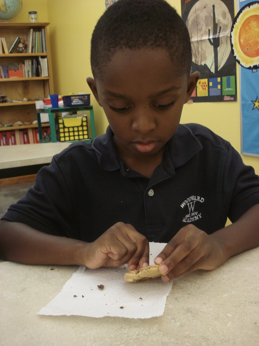 David Rogie tweet media