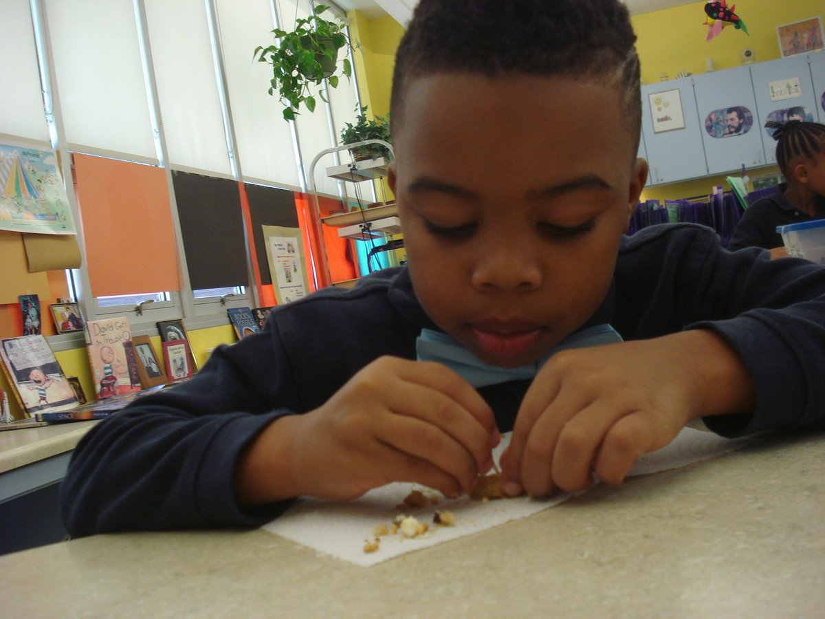 David Rogie tweet media