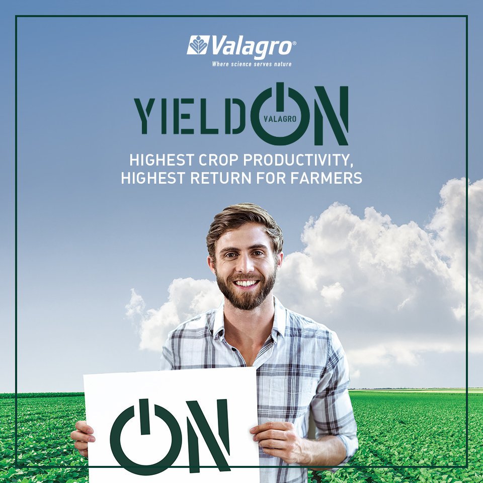 SyngentaBiolUS's tweet photo. #YieldOn is the ideal product to increase productivity of row crops in a natural way. The result is optiminal ROI for the farmer who can count on a harvest of higher value. https://t.co/Q196jdfxLv https://t.co/W5n0NBTvja