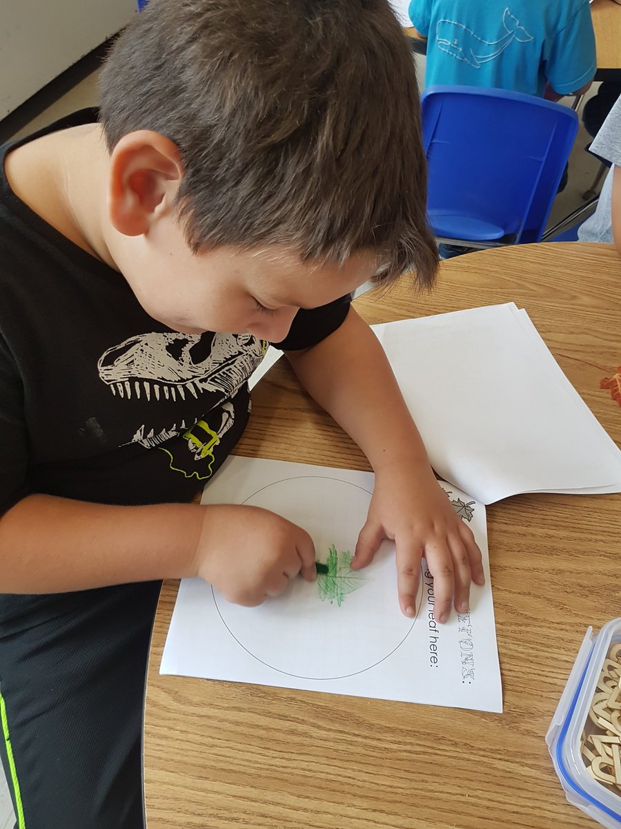 schickjennifer's tweet photo. Investigating leaves today and noticing all of their details. @HoughtonHornets https://t.co/AYR4Zsi6yB