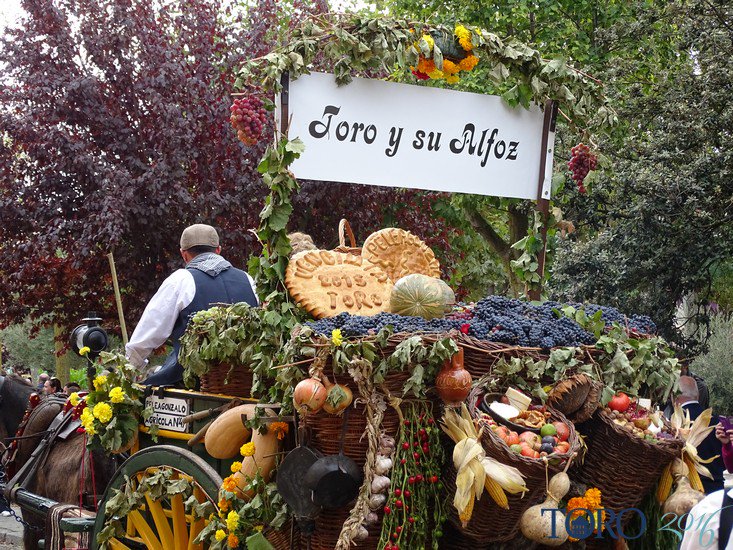 tierradesabor's tweet photo. ¡Ya está aquí la Fiesta de la Vendimia en la D.O. @VinodeToro! 🍇💛  https://t.co/UJXoTNCnx2 #Toro #Vino https://t.co/y1djAowopO