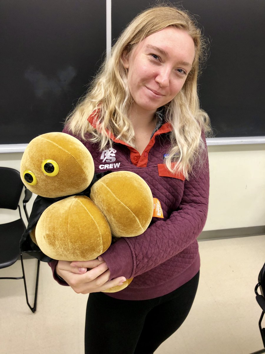 markowenmartin's tweet photo. Microbiology Exam #1 is GO. #ComfortMicrobes and #ExamSnacks deployed! Wish my #Bio350 #Micronauts good luck, please. They are awesome students. @univpugetsound @asmicrobiology (2/3) https://t.co/sj3wTPd28p