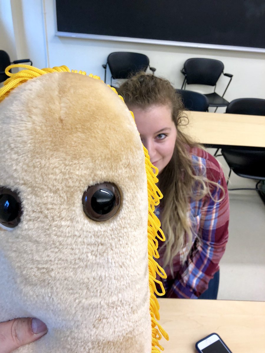 markowenmartin's tweet photo. Microbiology Exam #1 is GO. #ComfortMicrobes and #ExamSnacks deployed! Wish my #Bio350 #Micronauts good luck, please. They are awesome students. @univpugetsound @asmicrobiology (3/3) https://t.co/3BS61DjgQH