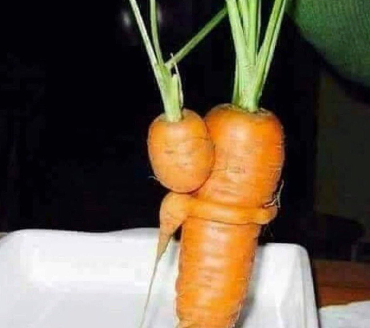 The day will come when a carrot will start a revolution! #carrotrev #vegrev