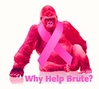 OMTEC and Brute support breast cancer awareness. Brute also has a story to tell. Stay tuned to hear his story soon.
