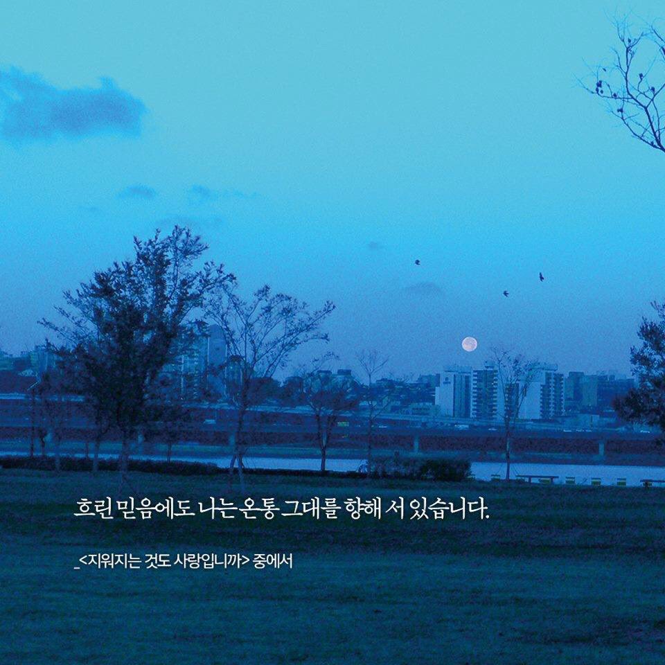 황경신 글 / 김원 사진 <지워지는 것도 사랑입니까> 중에서
YES24 : bitly.kr/49Of