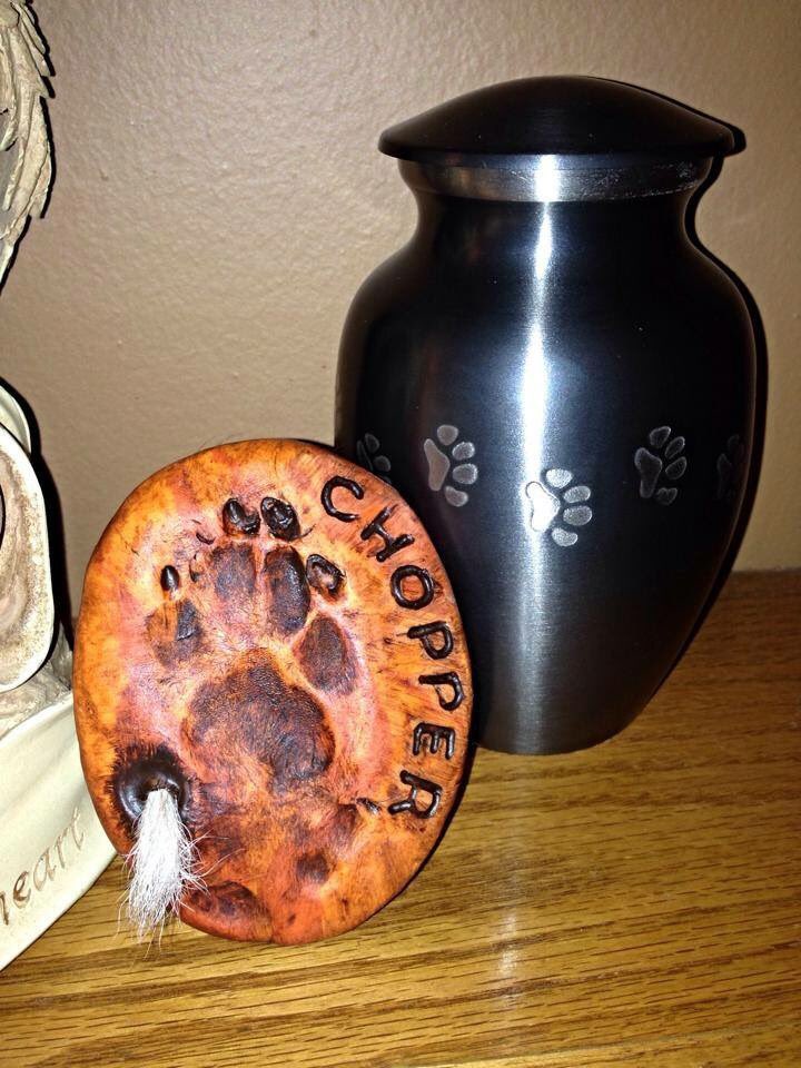 _VictoriaRisner's tweet photo. Can’t believe 4 years ago I lost my baby boy chopper in the worst way smh. He was 15 and still had so much time left smh 🐾😩😢🖤

#ChihuahuaLove  #MissingYou #Chopper #My1stDog #Chihuahuaobsessed #LikeMyKids https://t.co/qcJhIs2hlV
