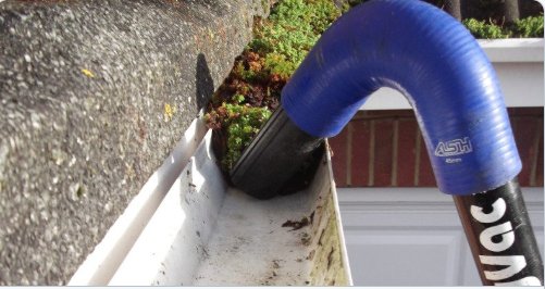 Lazybotts tweet media