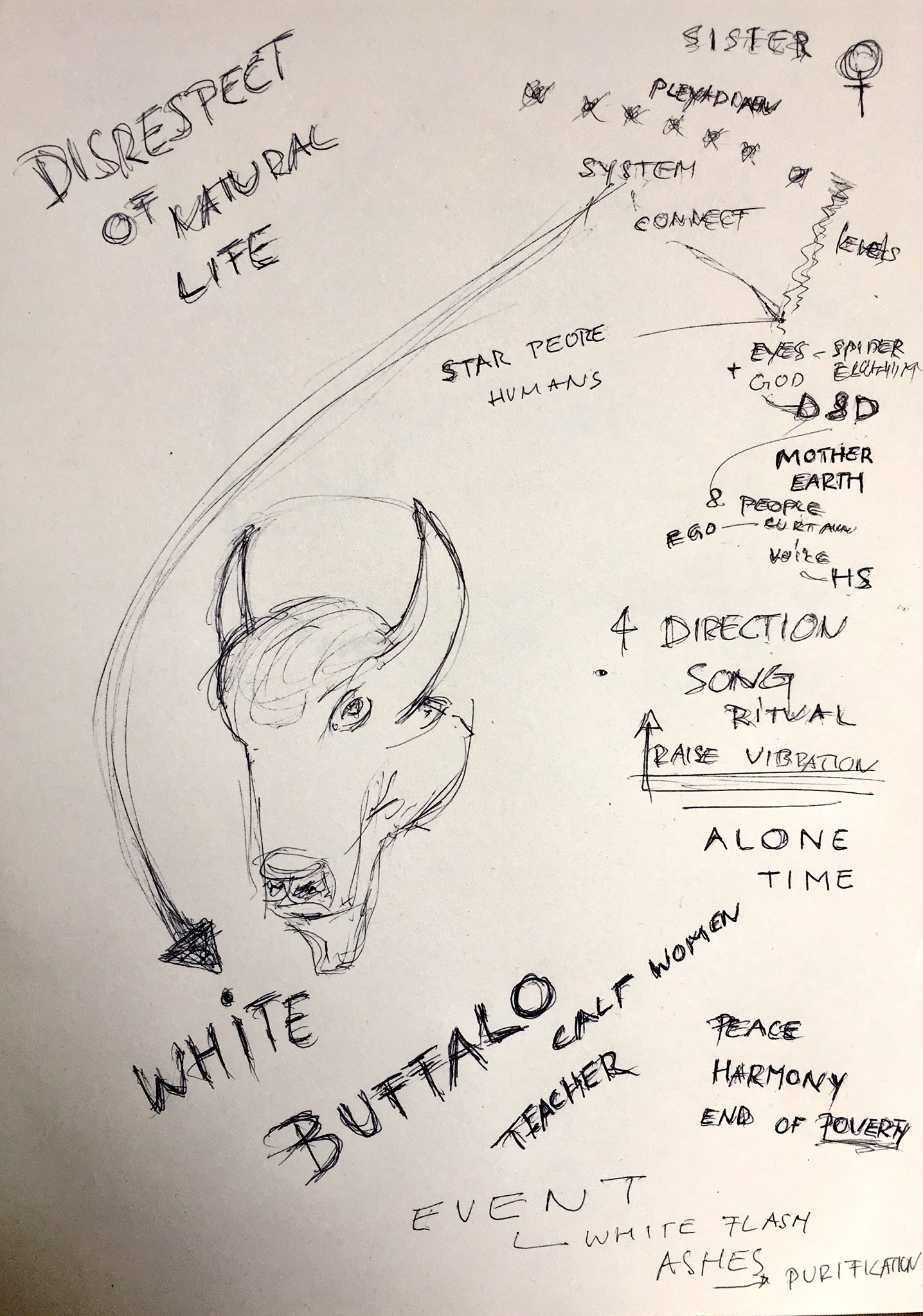 Michael Singeisen on Twitter "The white buffalo prophecy (Lakota