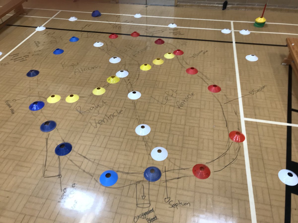 MissCamplingPE's tweet photo. Practical way of teaching the blood flow through the heart today! Thanks to @PE_MrIsaac for the idea and drawing it worked so well and the students were able to tell me step by step at the end of the lesson which was fantastic! #successfullesson #btecpe https://t.co/lILLJTaEVj