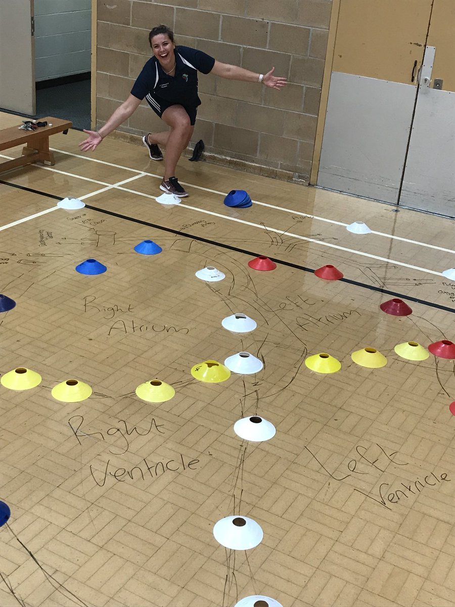 MissCamplingPE's tweet photo. Practical way of teaching the blood flow through the heart today! Thanks to @PE_MrIsaac for the idea and drawing it worked so well and the students were able to tell me step by step at the end of the lesson which was fantastic! #successfullesson #btecpe https://t.co/lILLJTaEVj