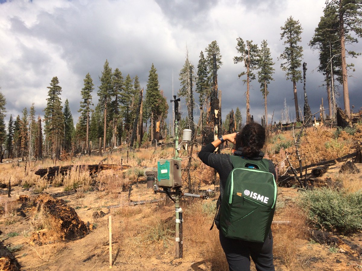 MonikaSFischer's tweet photo. Using our #ISME17 backpacks for Microbial Ecology! Sampling soil and mushrooms @YosemiteNPS to figure out how fire-adapted microbes survive and thrive in an area ravaged by lightning strikes and frequent wildfires! #womeninSTEM #fieldwork https://t.co/03leZOWdTf