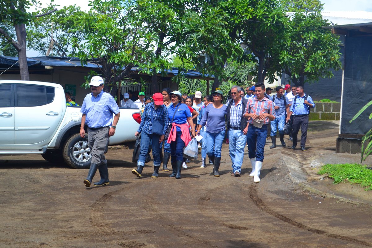 UNAnicaragua's tweet photo. Maestrantes de la #UNANic visitan #PlantaProcesadoraDePitahaya TROPISOL.
La visita forma parte del curso sobre #ComercioInternacional de #ProductosAgropecuarios que está desarrolla la UNA desde el 8 de octubre.
Ver más aquí: https://t.co/wMCeEhEKuF https://t.co/kyyopKM7en