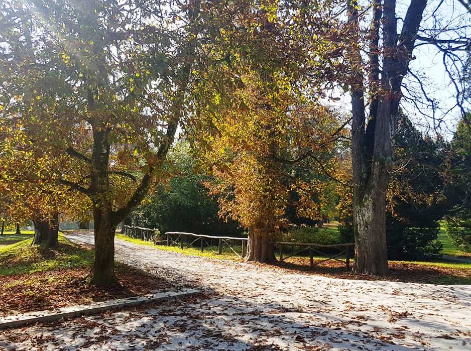 LetsGoSlovenia's tweet photo. October colors and open air exhibition in #Ljubljana Tivoli Park 💛🧡 💚 https://t.co/dJRSfko3tu