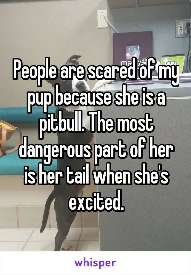 Animal Hub tweet media