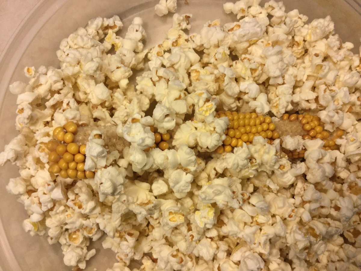 FoodlandOnt's tweet photo. Have you tried Ontario Popping Corn? It is a different variety than grain corn and sweet corn. Put the cob in a paper bag, pop in the microwave and enjoy! How would you top your Ontario popping corn? #loveONTfood #lovelocal https://t.co/yRMLuYSNxr https://t.co/YICZ7oH86k