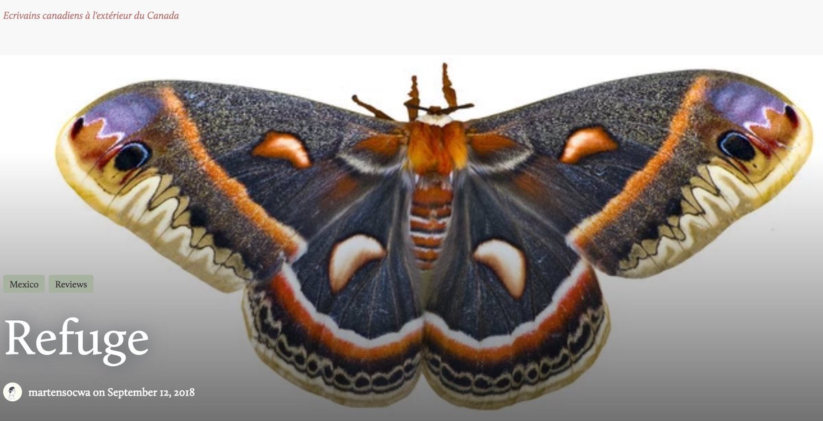 "Refuge is bejewelled by fine writing...in terms of structure and imagery, it is a marvel." Little pleases more than a well-written, thoughtful, insightful review. Thank you <a href="/debramartens/">debra martens</a> and <a href="/CanadaNY/">CanadaNY</a> Canadian Writers Abroad   canadianwritersabroad.com/2018/09/12/ref… <a href="/ecwpress/">ECW Press</a>