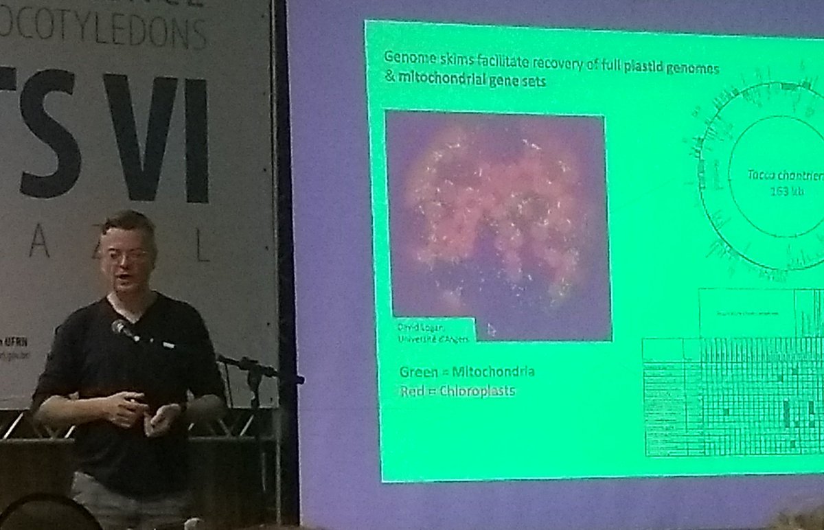 BotanyRNG's tweet photo. Sean Graham now speaking about organellar genomes - assembled plastids and mt genes. #MonocotsVI #monocots6 https://t.co/5jBeLwjzju